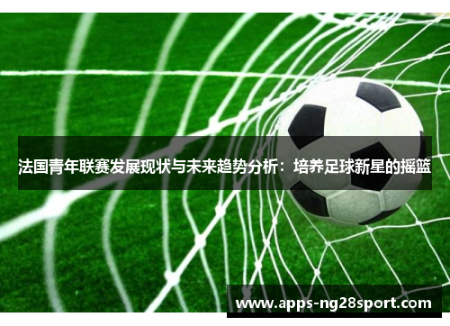法国青年联赛发展现状与未来趋势分析：培养足球新星的摇篮