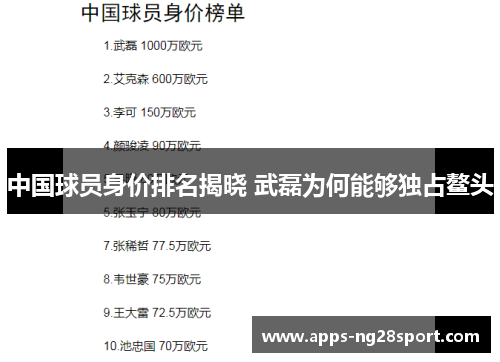 中国球员身价排名揭晓 武磊为何能够独占鳌头