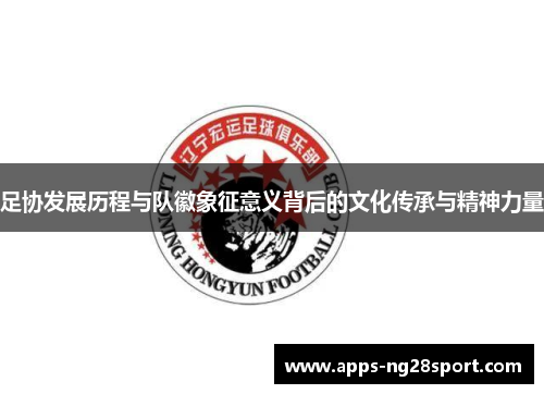 足协发展历程与队徽象征意义背后的文化传承与精神力量