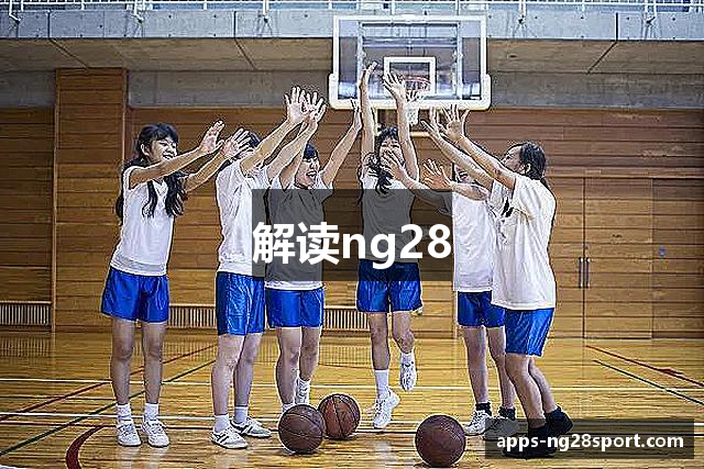 解读ng28